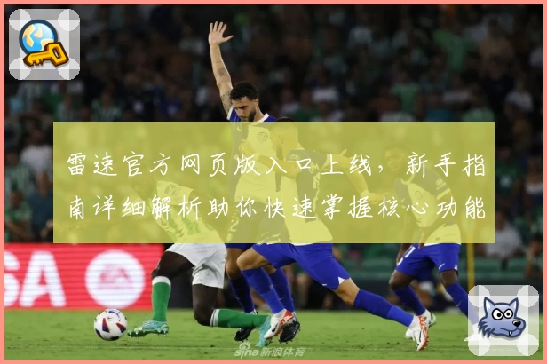 雷速官方网页版入口上线，新手指南详细解析助你快速掌握核心功能