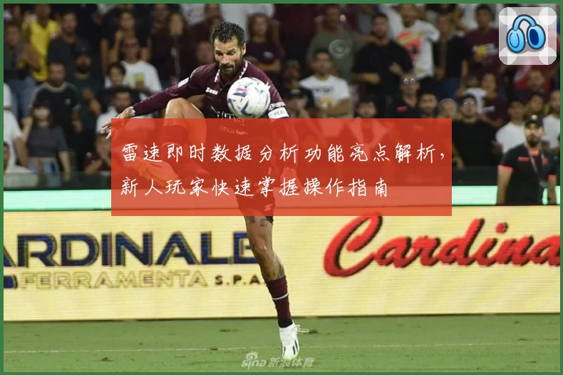 雷速即时数据分析功能亮点解析，新人玩家快速掌握操作指南